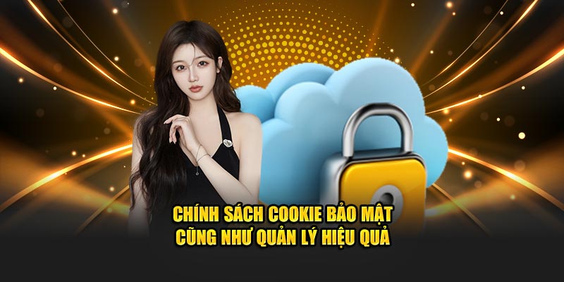 Chính sách cookie bảo mật cũng như quản lý hiệu quả