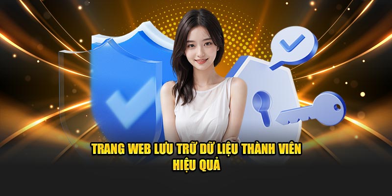 Trang web lưu trữ dữ liệu thành viên hiệu quả